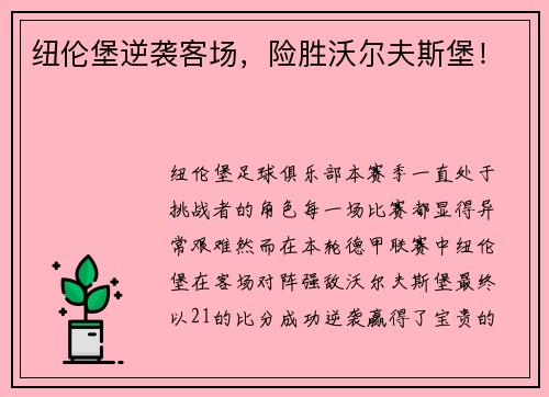 纽伦堡逆袭客场，险胜沃尔夫斯堡！